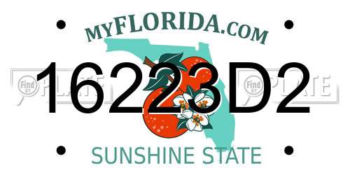 16223D2 Florida License Plate