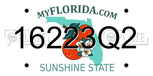 16223Q2 Florida License Plate