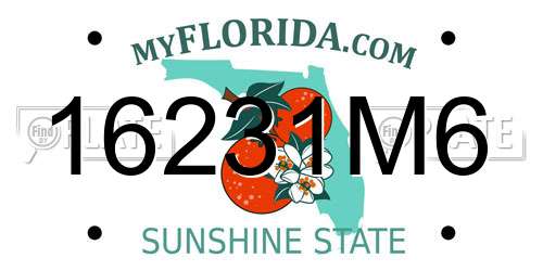16231M6 Florida License Plate