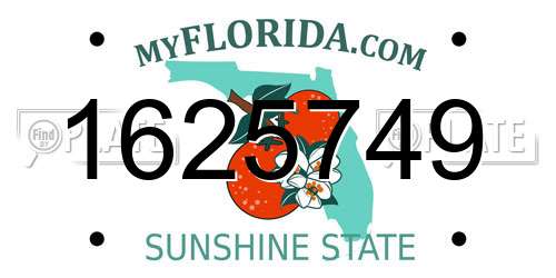 1625749 Florida License Plate
