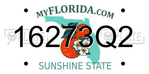 16273Q2 Florida License Plate