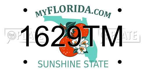 1629TM Florida License Plate