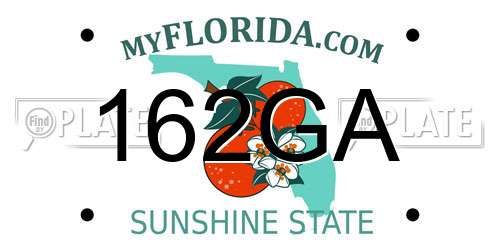 162GA Florida License Plate