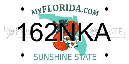 162NKA Florida License Plate
