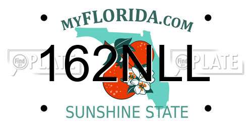 162NLL Florida License Plate