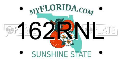 162RNL Florida License Plate