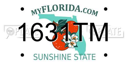 1631TM Florida License Plate