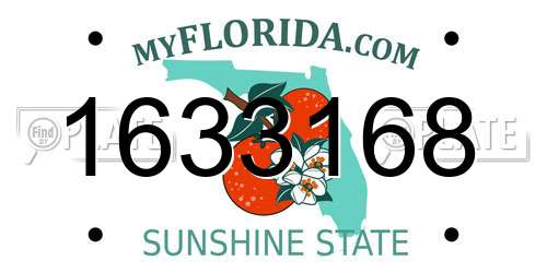 1633168 Florida License Plate