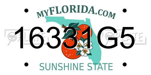 16331G5 Florida License Plate