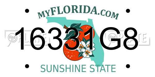 16331G8 Florida License Plate
