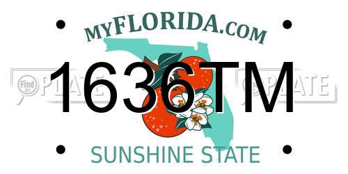 1636TM Florida License Plate