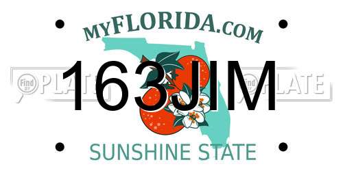 163JIM Florida License Plate