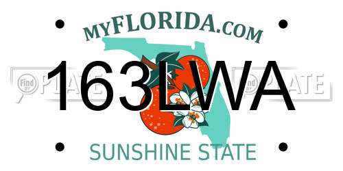 163LWA Florida License Plate
