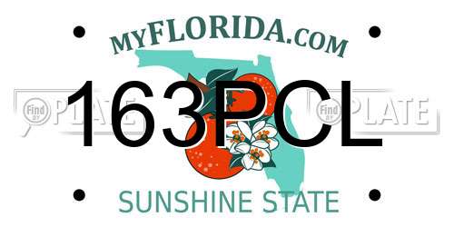163PCL Florida License Plate