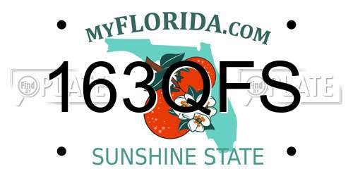 163QFS Florida License Plate