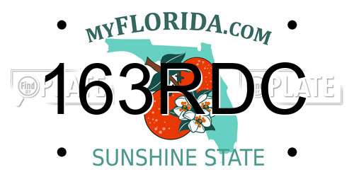 163RDC Florida License Plate