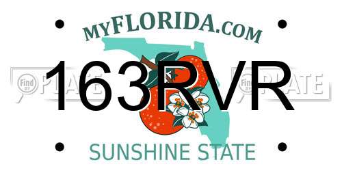 163RVR Florida License Plate