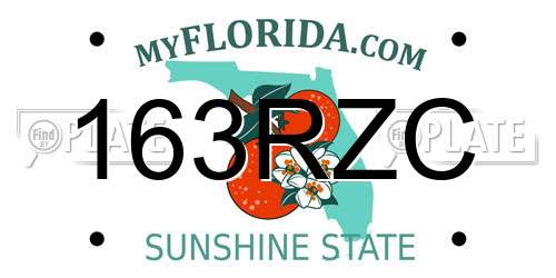 163RZC Florida License Plate