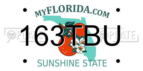 163TBU Florida License Plate