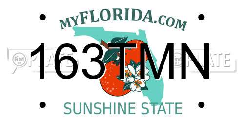 163TMN Florida License Plate