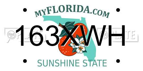 163XWH Florida License Plate