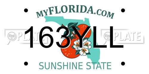 163YLL Florida License Plate
