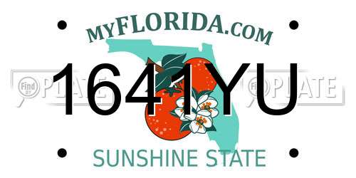 1641YU Florida License Plate