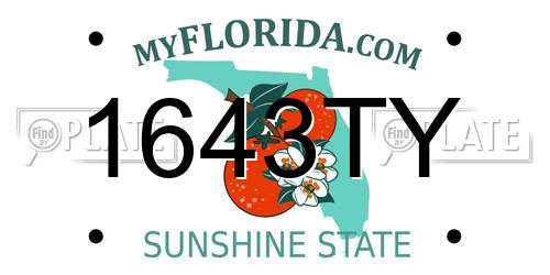 1643TY Florida License Plate