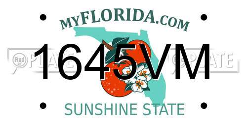 1645VM Florida License Plate