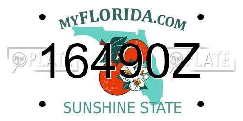 16490Z Florida License Plate
