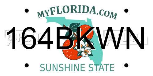 164BKWN Florida License Plate