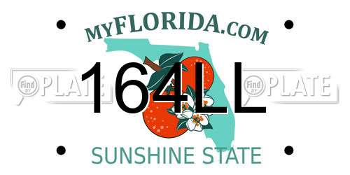 164LL Florida License Plate