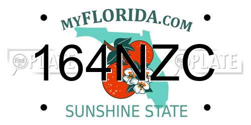 164NZC Florida License Plate