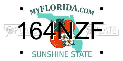 164NZF Florida License Plate