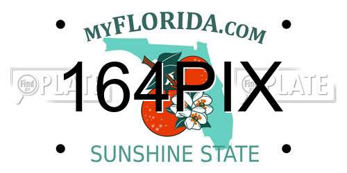 164PIX Florida License Plate