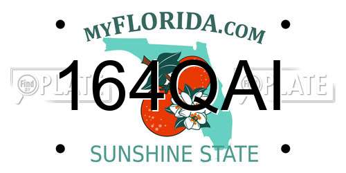 164QAI Florida License Plate