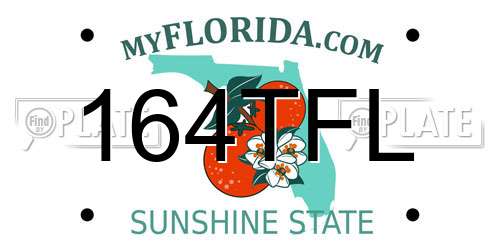 164TFL Florida License Plate