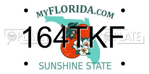 164TKF Florida License Plate