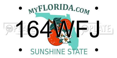 164WFJ Florida License Plate