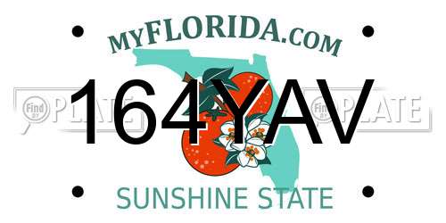 164YAV Florida License Plate