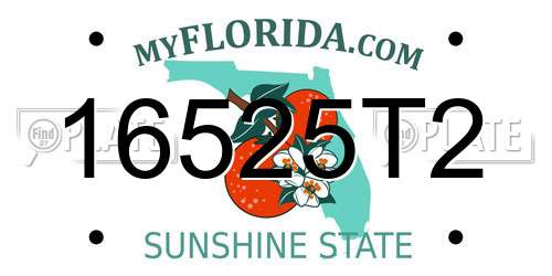 16525T2 Florida License Plate