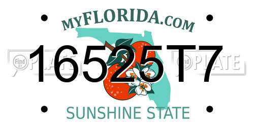 16525T7 Florida License Plate