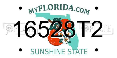 16528T2 Florida License Plate