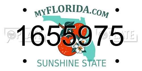 1655975 Florida License Plate