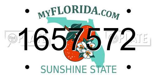 1657572 Florida License Plate