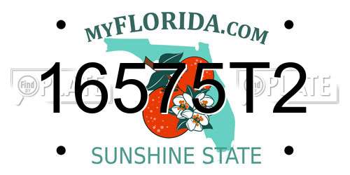 16575T2 Florida License Plate