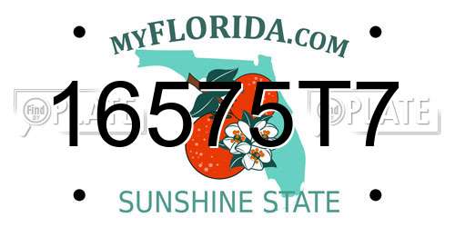 16575T7 Florida License Plate
