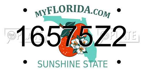 16575Z2 Florida License Plate
