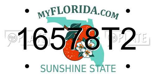 16578T2 Florida License Plate