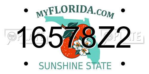 16578Z2 Florida License Plate